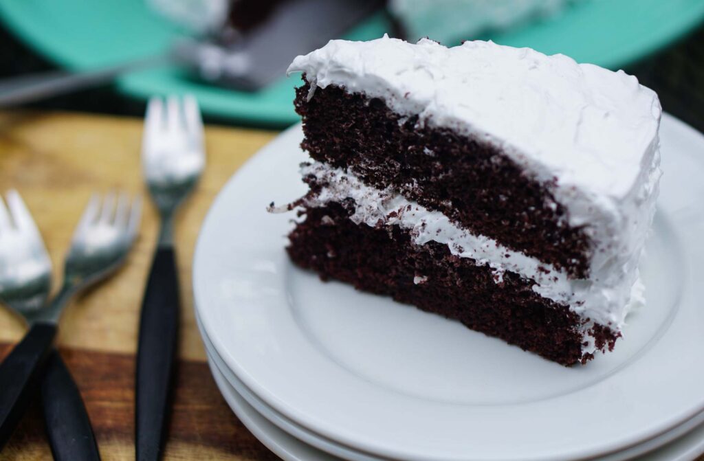Chocolate and Coconut Soft Cake